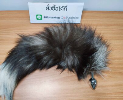 หางจิงจอก เทาปลายขาว TAIL1