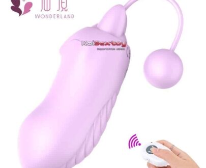 ไข่สั่นไร้สาย Pet party KKA78