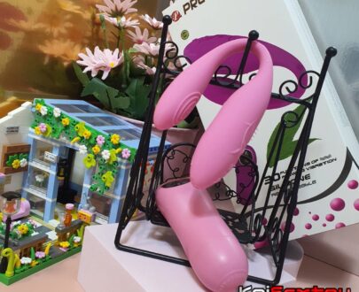 ไข่สั่นไร้สาย Chad | KKA195