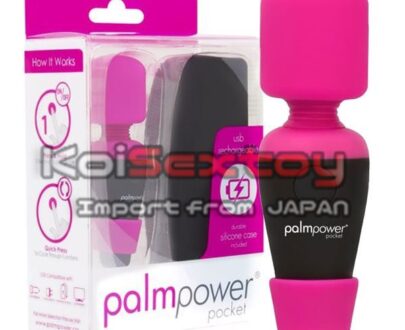 เครื่องนวดจิ๋ว Palm Power | KKA171